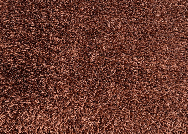 60031